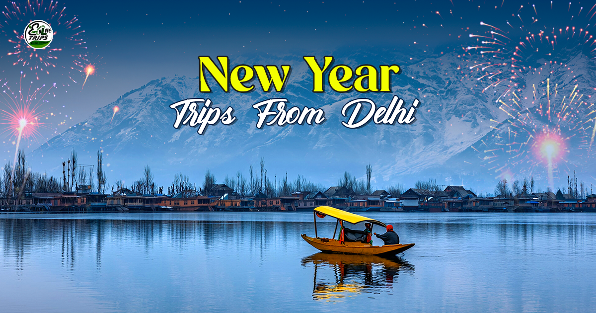 New years tour package